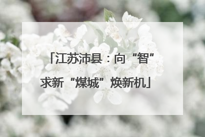 江苏沛县：向“智”求新“煤城”焕新机